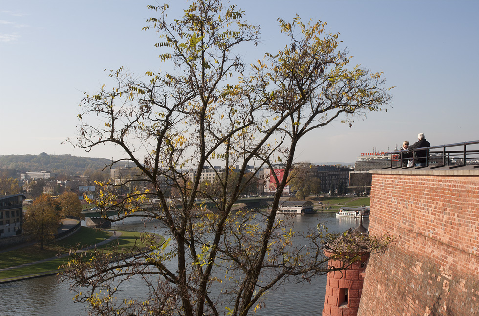 wawel2